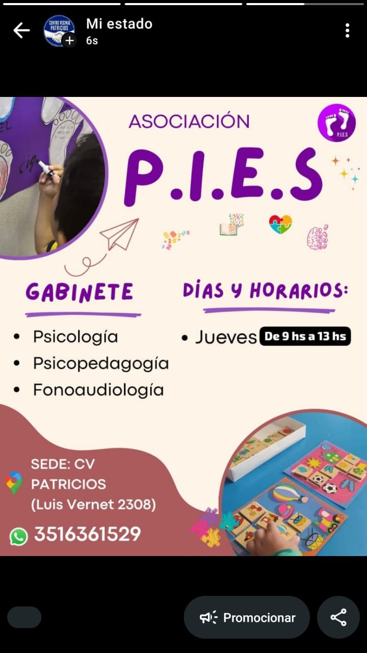 Asociación P.I.E.S.